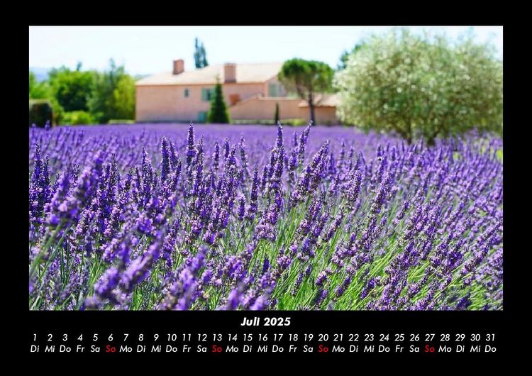 Produktbild: Blumentr&auml;ume 2025 Fotokalender DIN A3