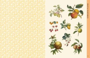Produktbild: Botanical Art to Cut out and Collage