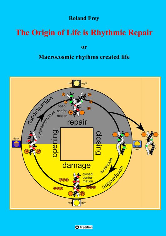 Produktbild: The origin of life is rhythmic repair or Macrocosmic rhythms created life