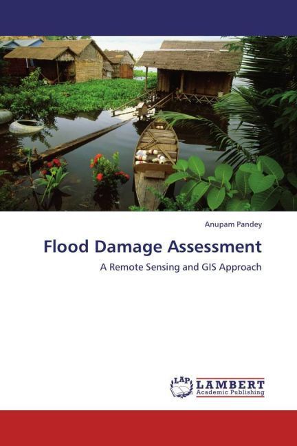 Produktbild: Pandey, A: Flood Damage Assessment