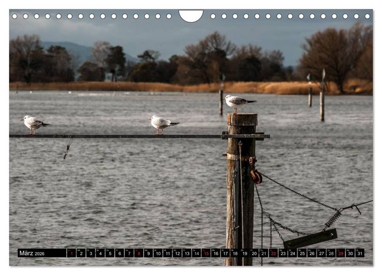 Produktbild: BODENSEE (Wandkalender 2026 DIN A4 quer), CALVENDO Monatskalender