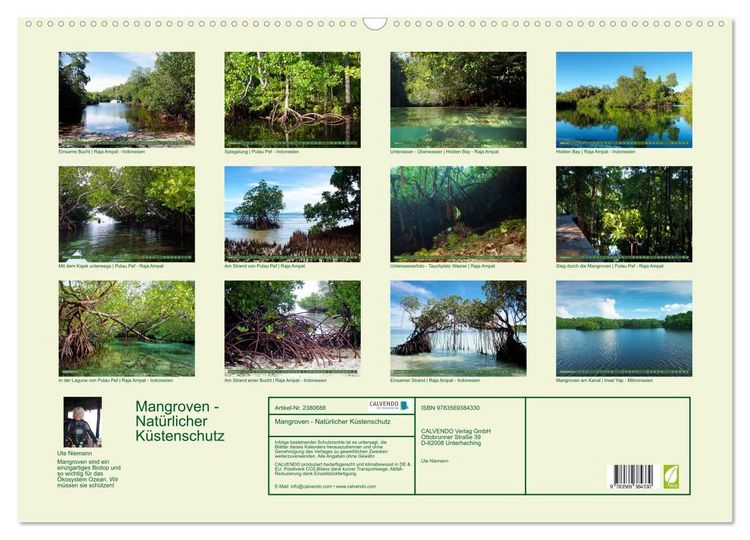 Produktbild: Mangroven - Nat&uuml;rlicher K&uuml;stenschutz (Wandkalender 2027 DIN A2 quer), CALVENDO Monatskalender