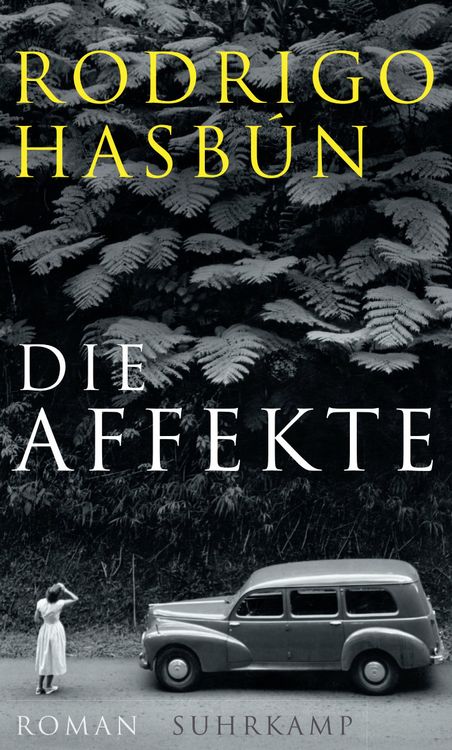 Produktbild: Die Affekte
