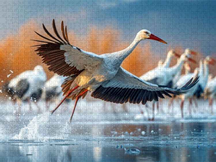 Produktbild: CALVENDO Puzzle Aufbruch zu fernen Ufern | 1000 Teile Lege-Gr&ouml;&szlig;e 64x48cm Foto-Puzzle f&uuml;r gl&uuml;ckliche Stunden