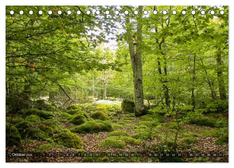 Produktbild: Feng Shui Farben - Element: Holz (Tischkalender 2026 DIN A5 quer), CALVENDO Monatskalender