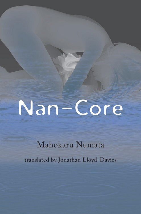 Produktbild: Nan-Core