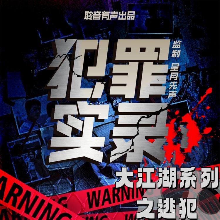 Produktbild: 大江湖系列之逃犯