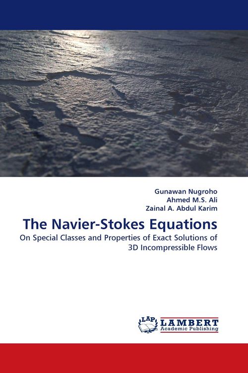 Produktbild: The Navier-Stokes Equations