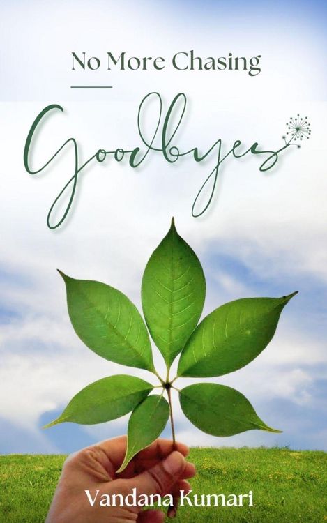 Produktbild: No More Chasing Goodbyes