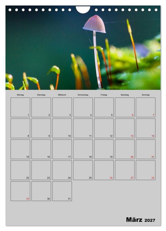 Produktbild: Quer durch die Pilze (Wandkalender 2027 DIN A4 hoch), CALVENDO Monatskalender