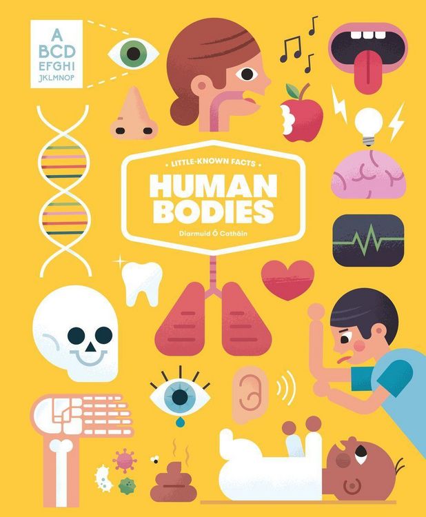 Produktbild: Little-Known Facts: Human Bodies