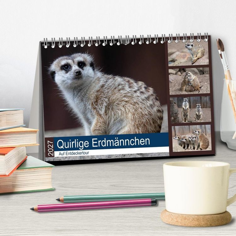 Produktbild: Quirlige Erdm&auml;nnchen (Tischkalender 2027 DIN A5 quer), CALVENDO Monatskalender