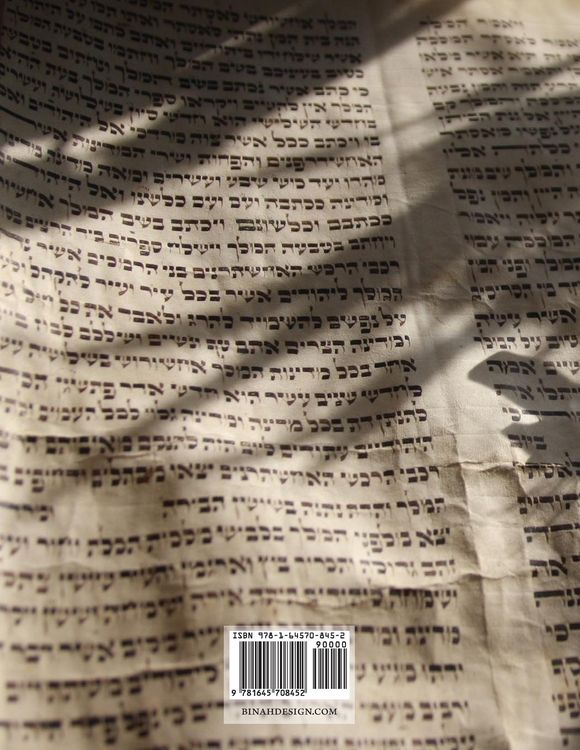 Produktbild: The Soferet's Apprentice