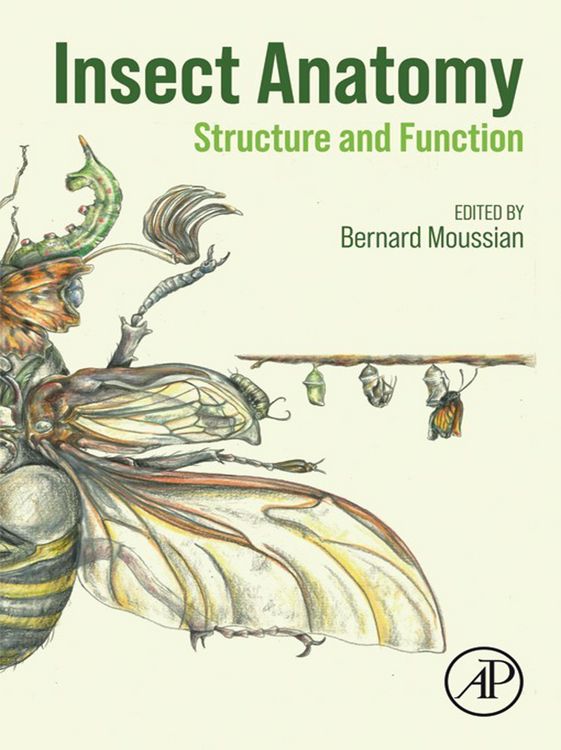 Produktbild: Insect Anatomy