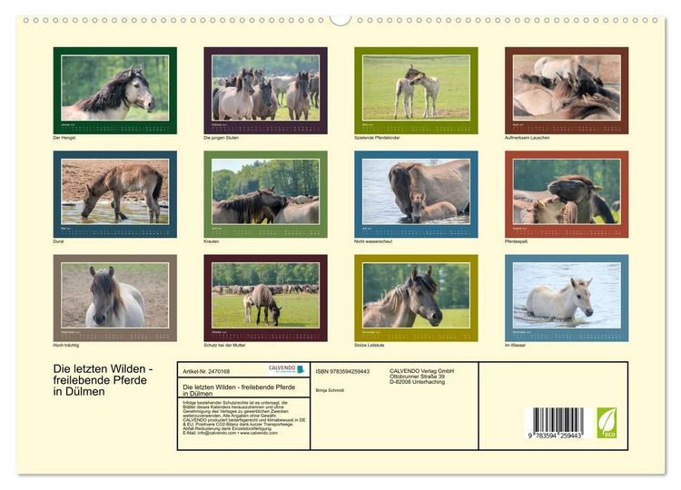 Produktbild: Die letzten Wilden - freilebende Pferde in D&uuml;lmen (hochwertiger Premium Wandkalender 2027 DIN A2 quer), Kunstdruck in Hochglanz