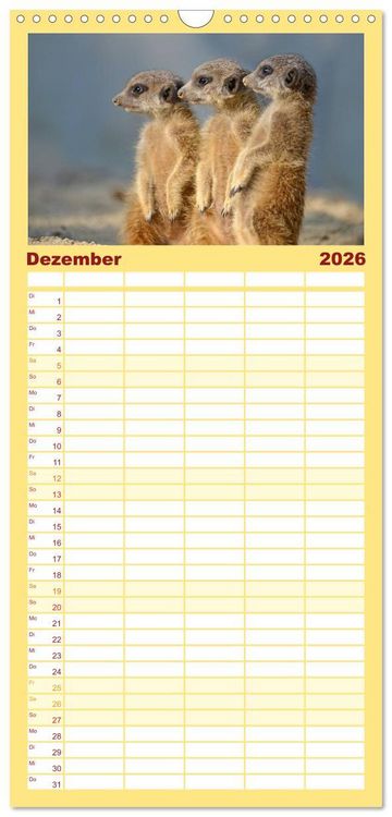 Produktbild: Familienplaner 2026 - Lustige Erdm&auml;nnchen mit 5 Spalten (Wandkalender, 21 x 45 cm) CALVENDO