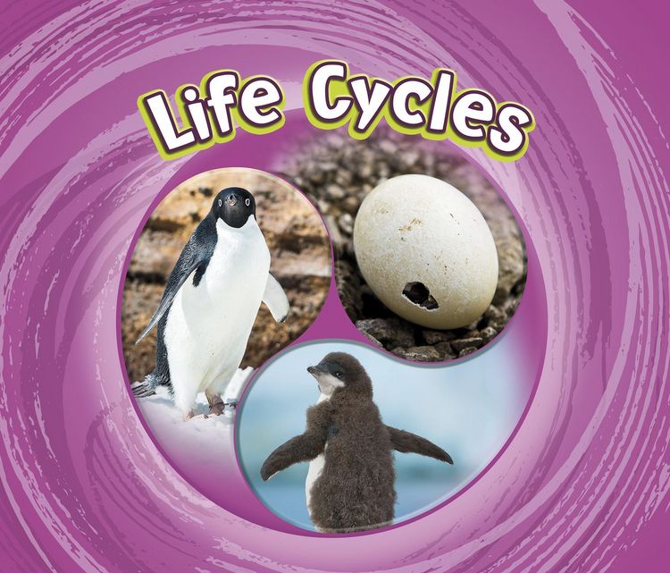 Produktbild: Life Cycles