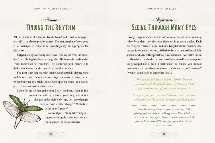Produktbild: The Illustrated Bestiary