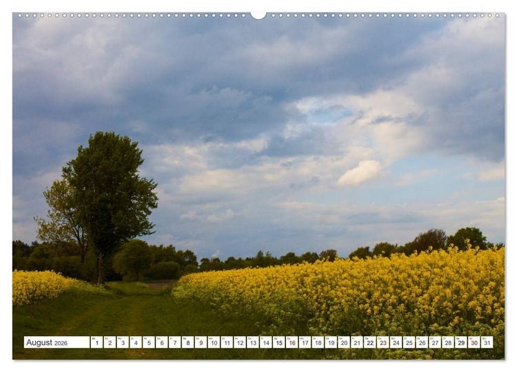 Produktbild: Osterholz-Scharmbeck, Natur-Impressionen aus dem Teufelsmoor (Wandkalender 2026 DIN A2 quer), CALVENDO Monatskalender
