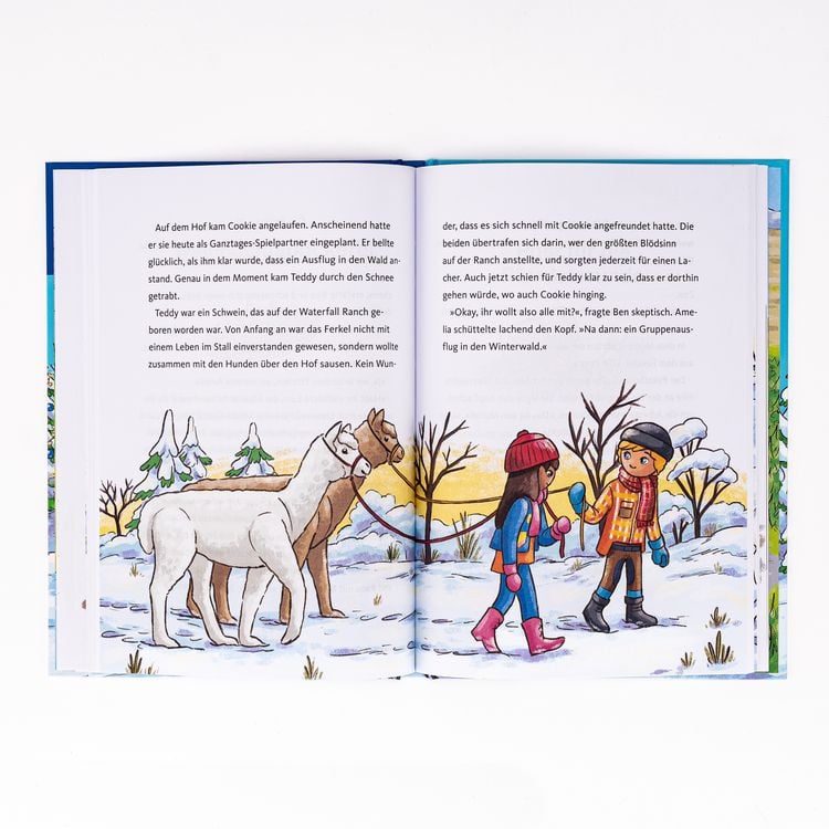Produktbild: PLAYMOBIL Horses of Waterfall. Weihnachtswunder auf dem Reiterhof