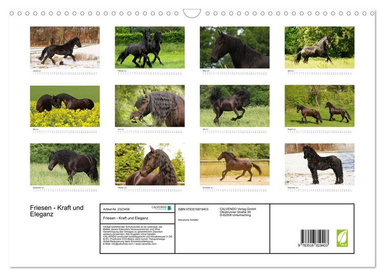 Produktbild: Friesen - Kraft und Eleganz (Wandkalender 2027 DIN A3 quer), CALVENDO Monatskalender