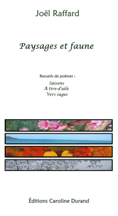 Produktbild: Paysages et faune