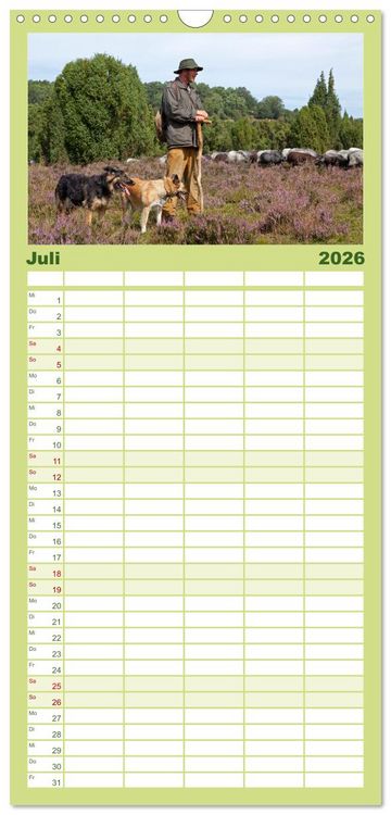 Produktbild: Familienplaner 2026 - Die L&uuml;neburger Heide - Ausflugsziel im Norden mit 5 Spalten (Wandkalender, 21 x 45 cm) CALVENDO