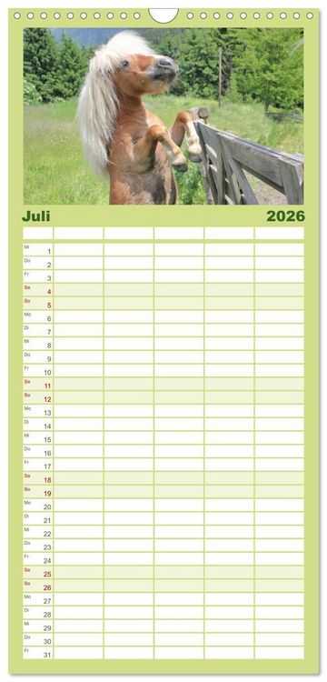 Produktbild: Familienplaner 2026 - Alpenpferde mit 5 Spalten (Wandkalender, 21 x 45 cm) CALVENDO