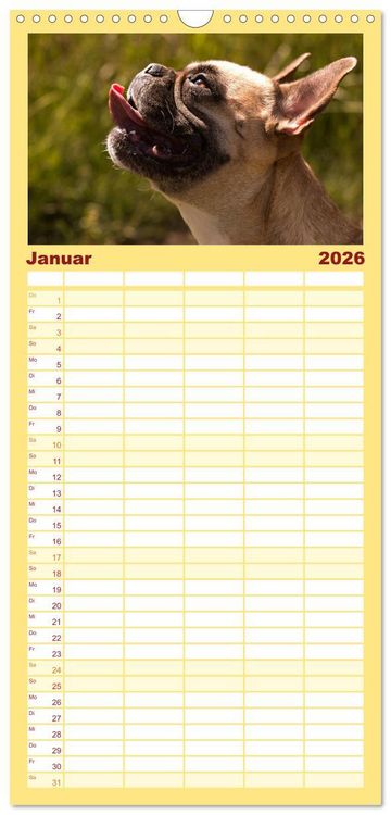 Produktbild: Familienplaner 2026 - Franz&ouml;sische Bulldoggen - Schutzengel auf 4 Pfoten mit 5 Spalten (Wandkalender, 21 x 45 cm) CALVENDO