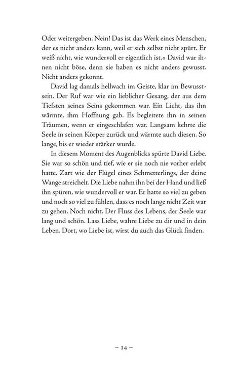 Produktbild: Der leise Ruf des Schmetterlings
