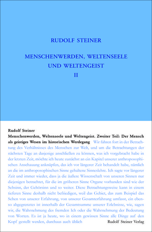 Produktbild: Menschenwerden, Weltenseele und Weltengeist. Der Mensch als geistiges Wesen im historischen Werdegang