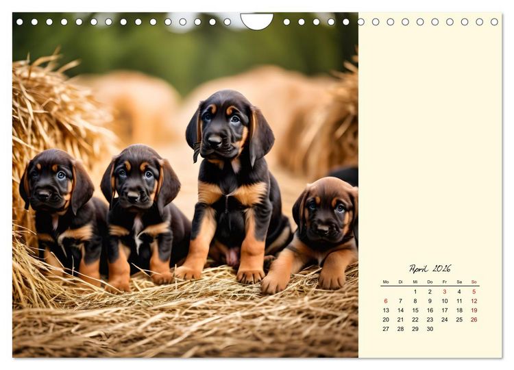 Produktbild: Bloodhound - M&auml;chtige Sp&uuml;rnase (Wandkalender 2026 DIN A4 quer), CALVENDO Monatskalender
