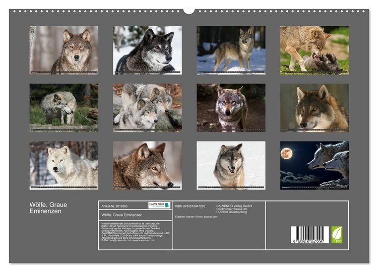 Produktbild: W&ouml;lfe. Graue Eminenzen (hochwertiger Premium Wandkalender 2026 DIN A2 quer), Kunstdruck in Hochglanz