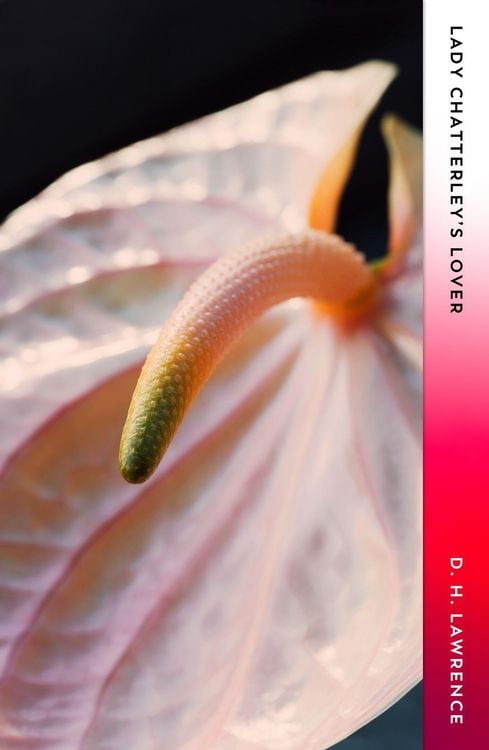 Produktbild: Lady Chatterley's Lover