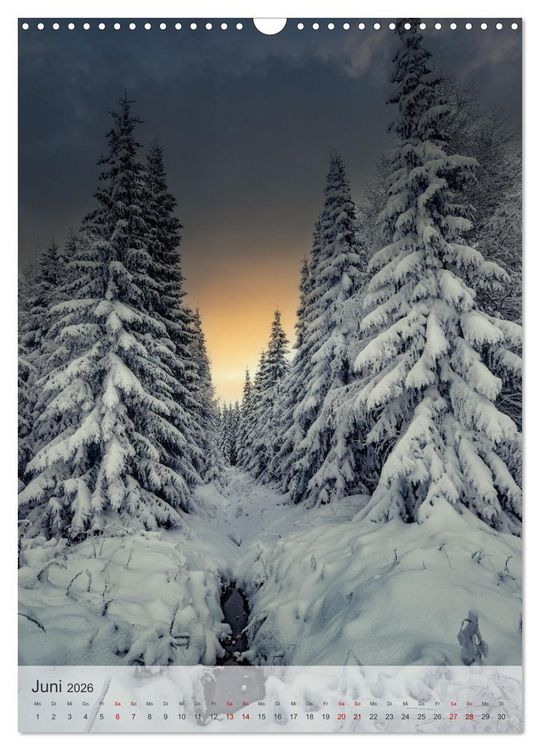 Produktbild: Winter Spaziergang (Wandkalender 2026 DIN A3 hoch), CALVENDO Monatskalender