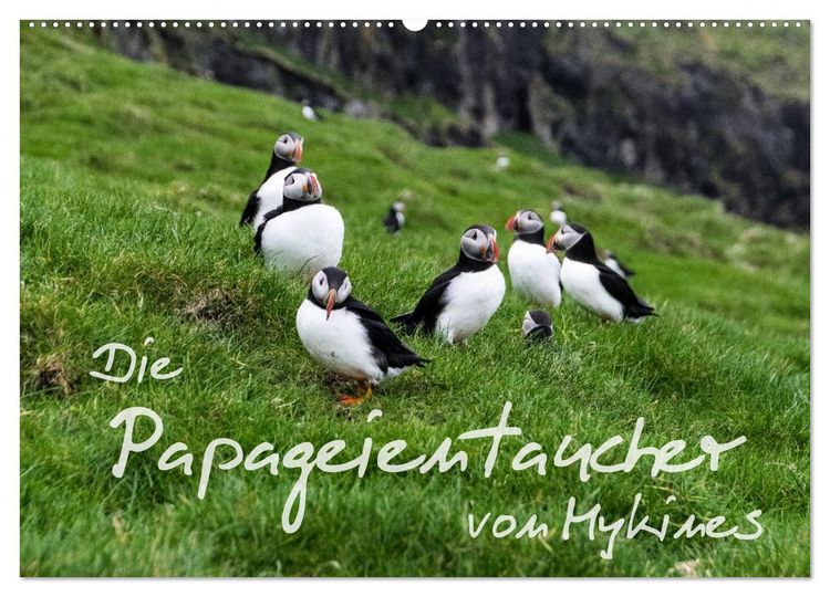 Produktbild: Die Papageientaucher von Mykines (Wandkalender 2026 DIN A2 quer), CALVENDO Monatskalender