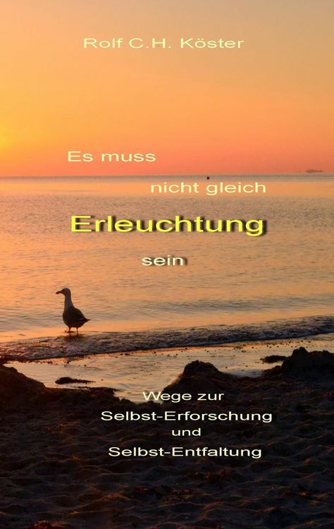 Produktbild: Es muss nicht gleich Erleuchtung sein
