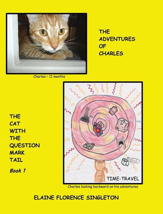 Produktbild: The Adventures of Charles The Cat With The Question Mark Tail