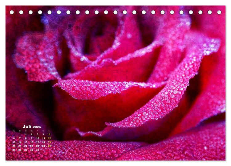 Produktbild: Rosen Romantik (Tischkalender 2026 DIN A5 quer), CALVENDO Monatskalender