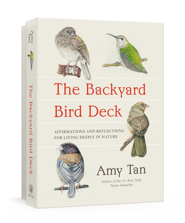 Produktbild: The Backyard Bird Deck