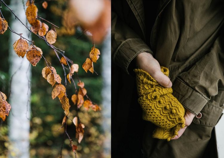 Produktbild: 52 Wochen Socken stricken. Die sch&ouml;nsten Stricksocken internationaler Designerinnen des Laine Magazines