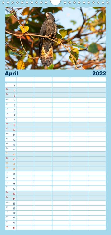Produktbild: Familienplaner V&ouml;gel von "Down Under" Australien (Wandkalender 2022 , 21 cm x 45 cm, hoch)