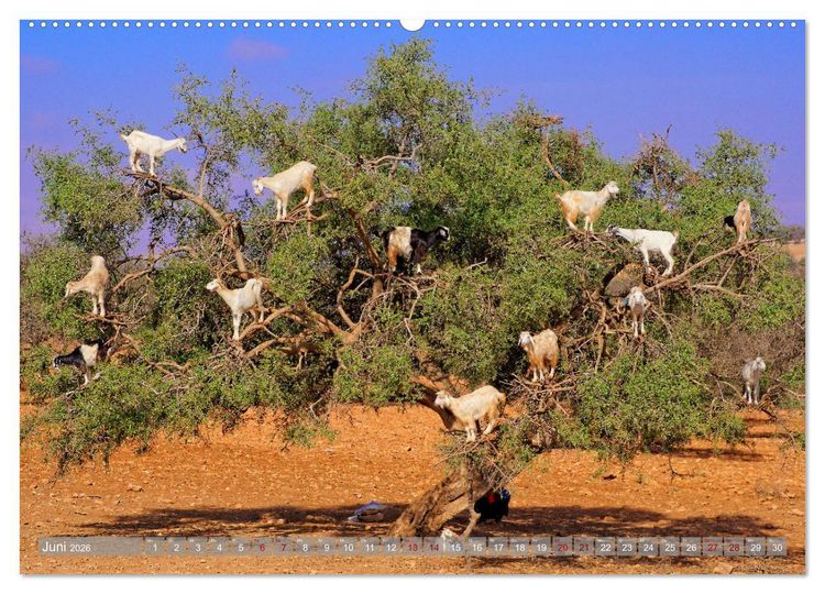 Produktbild: neunziggrad I photoart: marokko (Wandkalender 2026 DIN A2 quer), CALVENDO Monatskalender