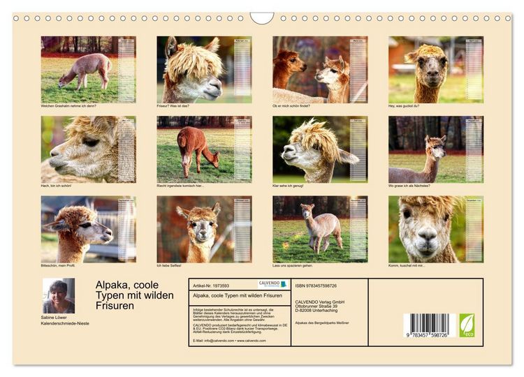 Produktbild: Alpaka, coole Typen mit wilden Frisuren (Wandkalender 2026 DIN A3 quer), CALVENDO Monatskalender