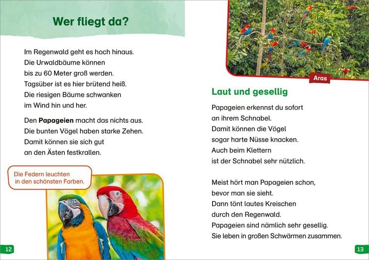 Produktbild: WAS IST WAS Erstes Lesen easy! Band 18. Tiere im Regenwald