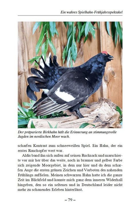 Produktbild: Weidwerk im Baltikum und in heimischen Revieren