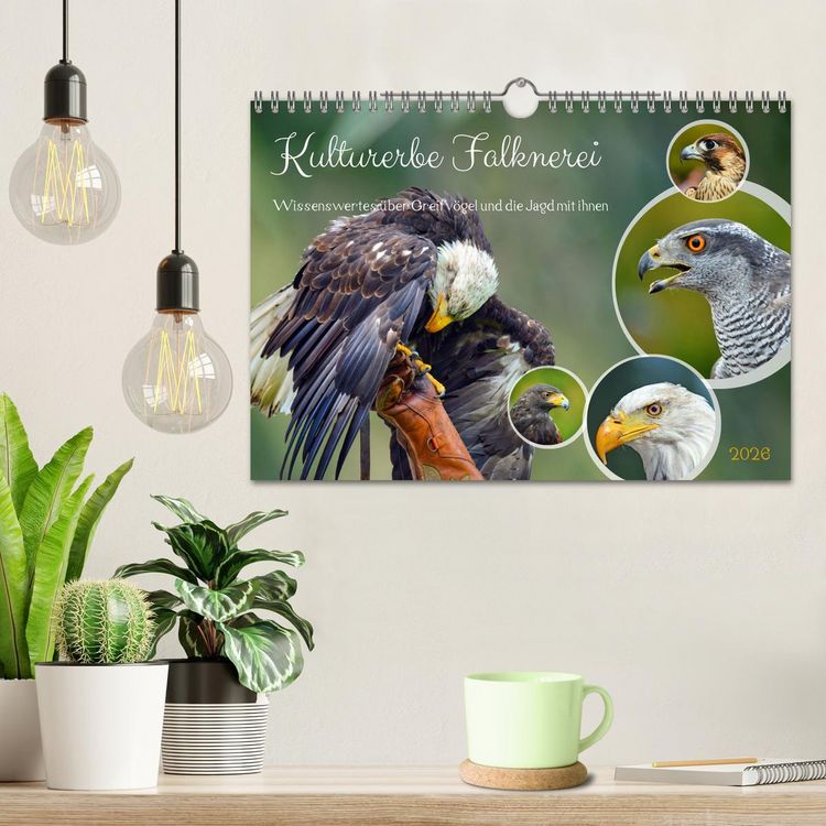 Produktbild: Kulturerbe Falknerei (Wandkalender 2026 DIN A4 quer), CALVENDO Monatskalender