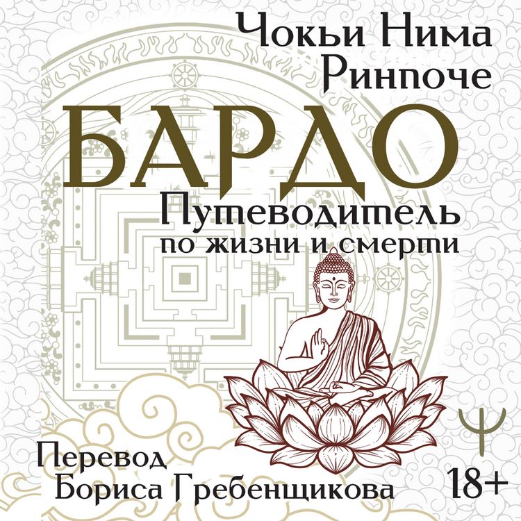 Produktbild: Bardo. Putevoditel po zhizni i smerti
