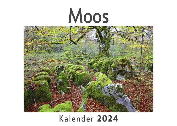 Produktbild: Moos (Wandkalender 2024, Kalender DIN A4 quer, Monatskalender im Querformat mit Kalendarium, Das perfekte Geschenk)