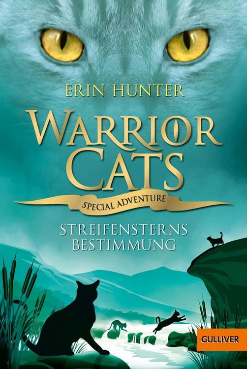 Produktbild: Warrior Cats - Special Adventure. Streifensterns Bestimmung